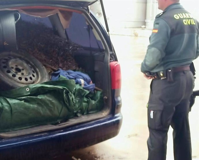 Intervención en la A-4 de más de 800 kilos de aceituna robada.