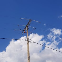 Torres de Endesa adaptadas para proteger águilas.