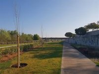 Precintada en Córdoba la pasarela del paseo bajo de Miraflores por la crecida del Guadalquivir