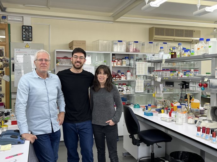 Un grup de la Universitat de València identifica nous mecanismes de control del cicle cel·lular en resposta a l'estrés