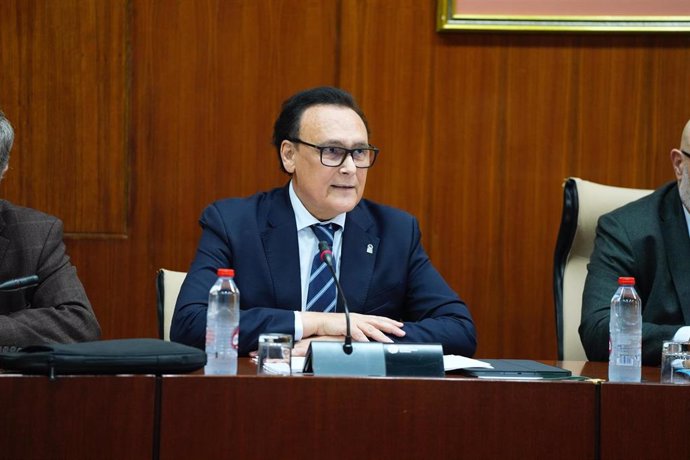 El consejero de Universidad, José Carlos Gómez Villamandos, en la comisión parlamentaria del 11 de marzo de 2025.