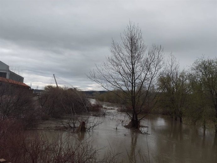 El río Tajo a su paso por Talavera de la Reina, el martes 11 de marzo de 2025.