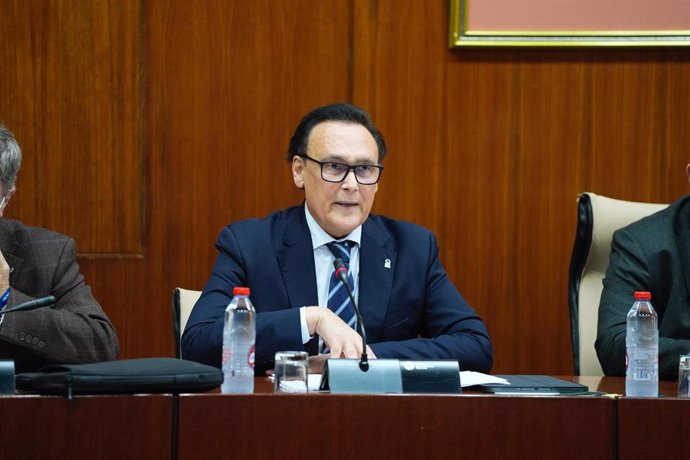 El consejero de Universidad, José Carlos Gómez Villamandos, en la comisión parlamentaria del 11 de marzo de 2025.