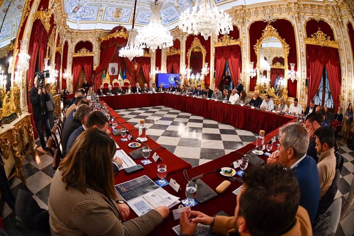 Almudena Martínez presidiendo el Consejo de Alcaldías de la Diputación.