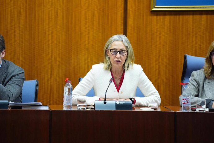 La consejera de Salud y Consumo, Rocío Hernández, en la Comisión de Infancia del Parlamento de Andalucía a fecha de 11 de marzo de 2025.