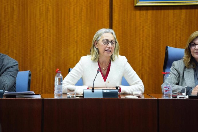 La consejera de Salud y Consumo, Rocío Hernández, durante la comisión el 11 de marzo de 2025.
