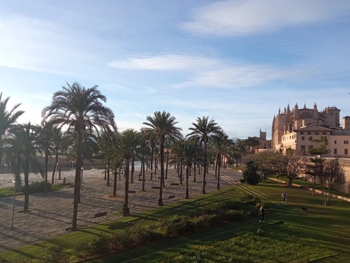 Archivo - Vista de la Catedral de Mallorca y el Parc de la Mar en un día soleado en Palma.