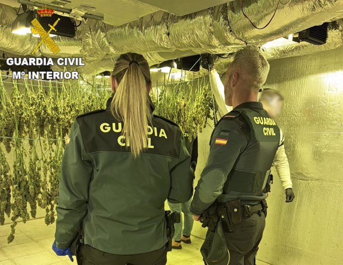 Agentes de la Guardia Civil tras desmantelar una plantación de marihuana indoor en Barajas de Melo.
