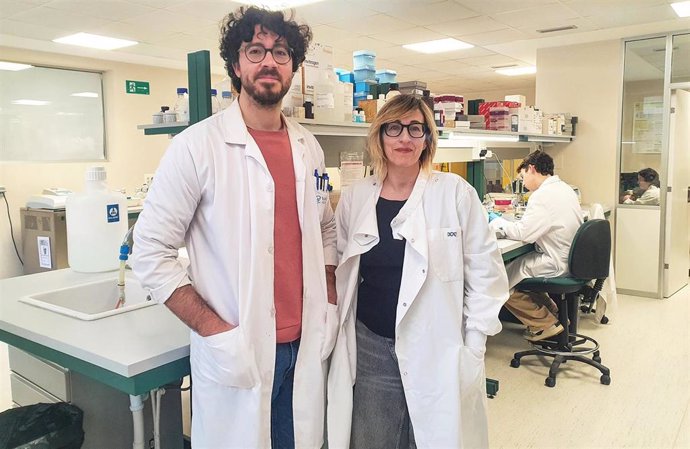 Científicos UC diseñan un tratamiento nuevo para intentar frenar la osteoporosis