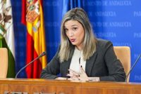 PSOE-A defiende que el Gobierno está poniendo "todos los recursos a su alcance" para luchar contra el narcotráfico