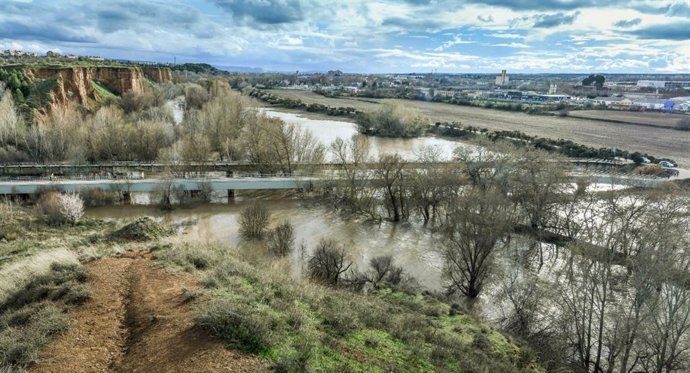 El río Henares a su paso por Guadalajara tras decretarse el nivel rojo por el aumento de su caudal.