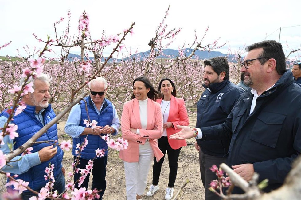 El presidente del Gobierno de la Región de Murcia, Fernando López Miras, visita la floración de Cieza