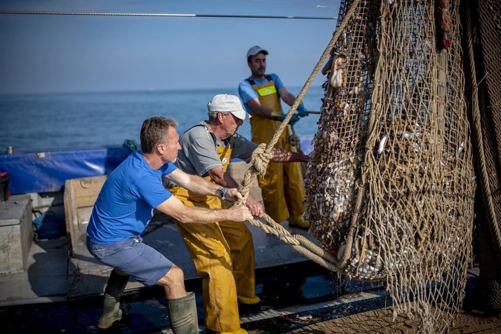 Más de 850 pescadores valencianos recogen 71.910 kilos de basura marina en 2024