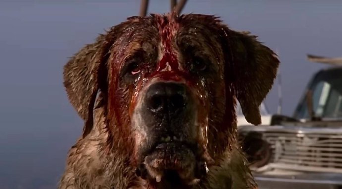 Netflix prepara un remake de Cujo de Stephen King