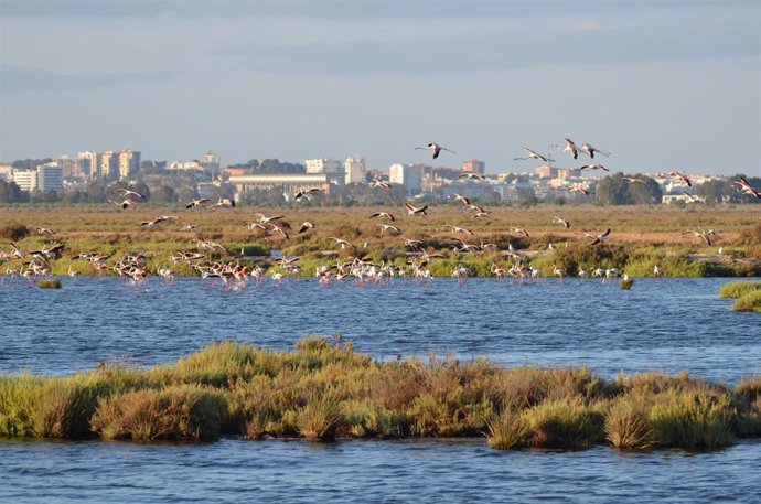 Marismas del Odiel, en Huelva.