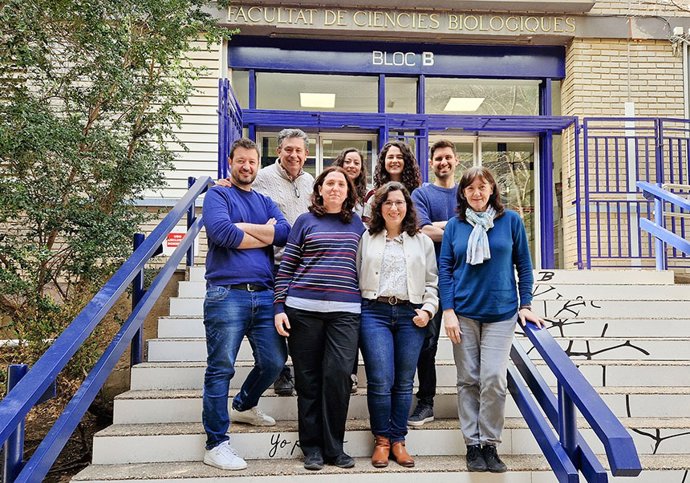 Descobrixen un nou mecanisme que participa en la propagació del Parkinson en el cervell