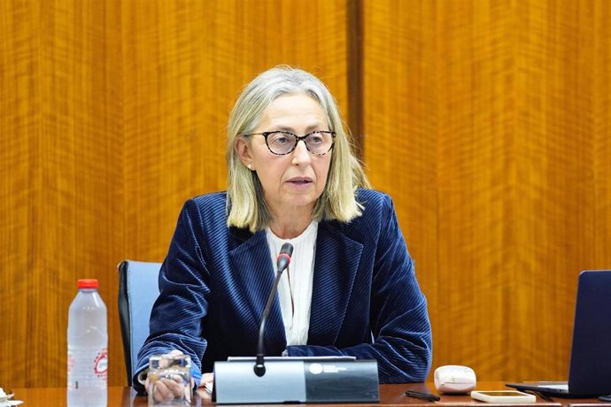 La consejera de Salud y Consumo de la Junta, Rocío Hernández, en la comisión parlamentaria.