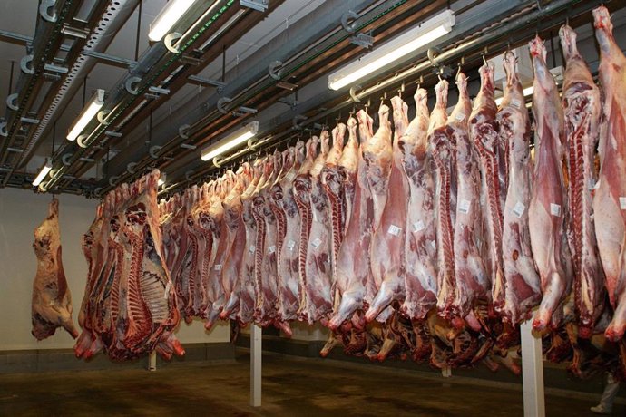 AMACYL pide a la Junta de Castilla y León que abra una interlocución con los veterinarios