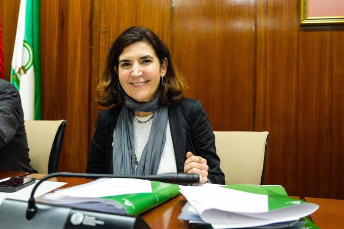 La consejera de Empleo, Empresa y Trabajo Autónomo, Rocío Blanco, en la comisión parlamentaria del 12 de marzo de 2025.