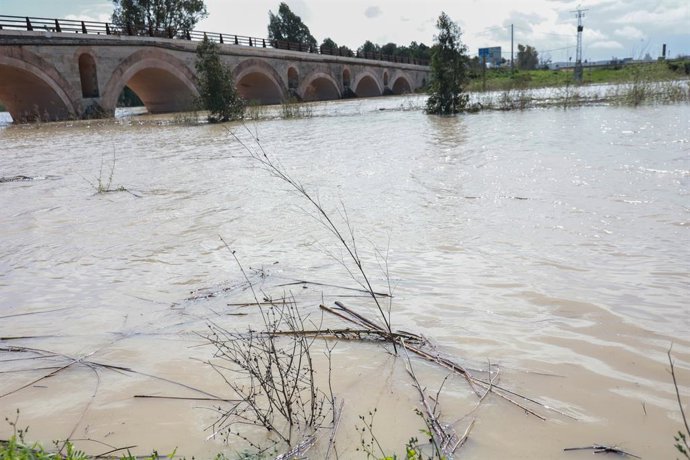 Inundação do rio Guadalete ao passar pela ponte Cartuja. Em 10 de março de 2025, em Jerez de la Frontera, Cádiz (Andaluzia, Espanha). A prefeita de Jerez de la Frontera (Cádiz), María José García-Pelayo, explicou na segunda-feira que uma nova ponte está s