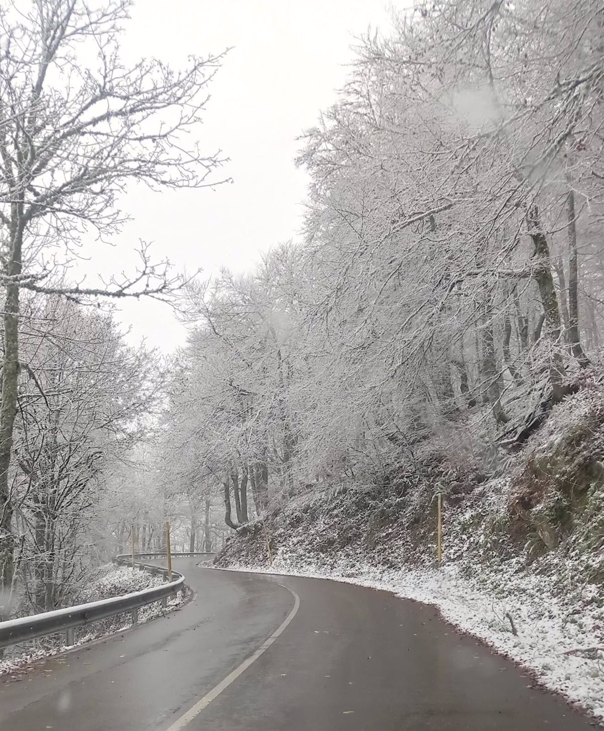 La borrasca  Konrad  pone en aviso amarillo a Asturias por nieve, según la AEMET