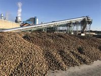 El Consejo Regional Agrario se reunirá el lunes y abordará la campaña de remolacha