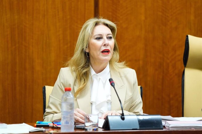 La consejera andaluza de Economía, Hacienda y Fondos Europeos, Carolina España, comparece en comisión parlamentaria.