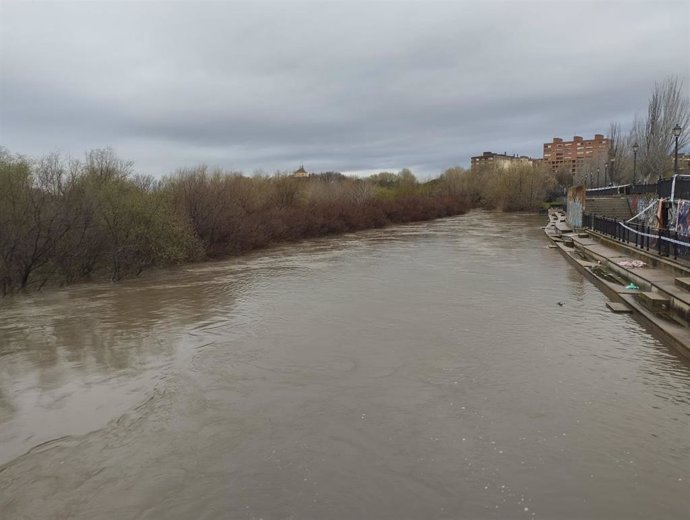 Estado del río Tajo a su paso por Talavera de la Reina el martes 11 de marzo de 2025.