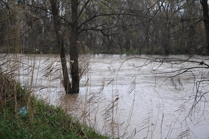 El caudal del río Henares ha alcanzado niveles que no tenía desde 1979 por las intensas lluvias y desembalses.