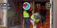 Detenido en Algeciras (Cádiz) uno de los cabecillas de una red internacional que importaba cocaína oculta entre cebollas