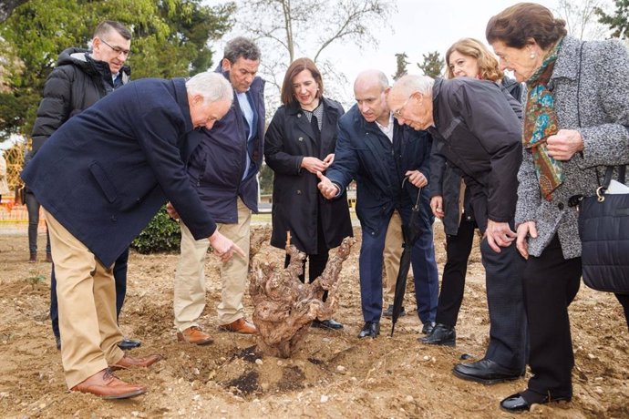 Las vides se han plantado en la orilla del Ebro