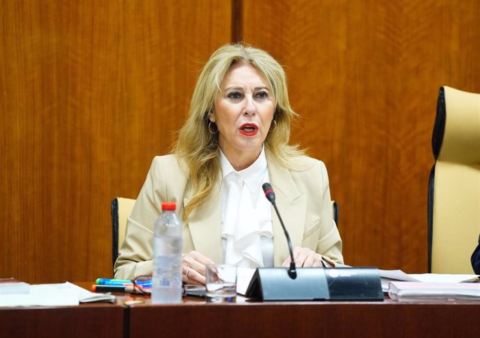 La consejera de Economía, Carolina España, este jueves durante su comparecencia parlamentaria en comisión.