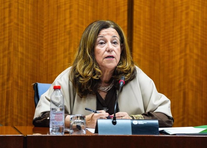 La consejera de Desarrollo Educativo y Formación Profesional, María del Carmen Castillo, en comisión parlamentaria a fecha de 13 de marzo de 2025.