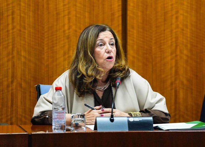 La consejera de Desarrollo Educativo, María del Carmen Castillo, en la comisión parlamentaria del 13 de marzo de 2025.