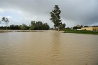 Vecinos desalojados por la crecida del río Guadalete en zonas rurales de Jerez (Cádiz): "Esto se veía venir"
