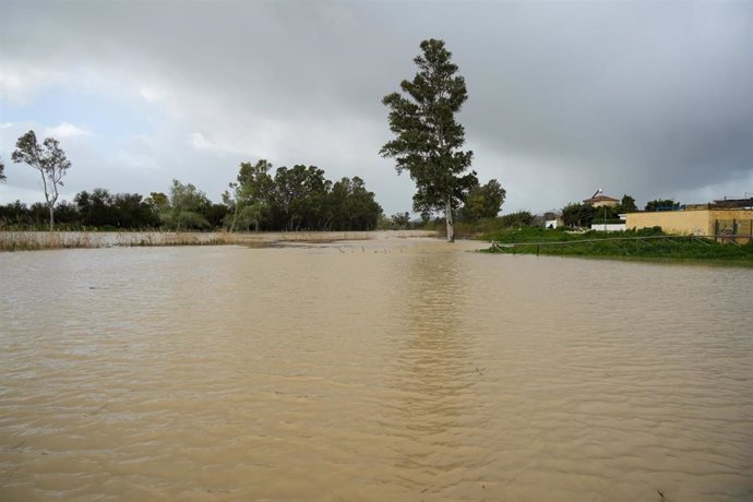 Imágenes de la crecida del río Guadalete. A 13 de febrero de 2025 en Jerez de la Frontera, Cádiz (Andalucía, España).