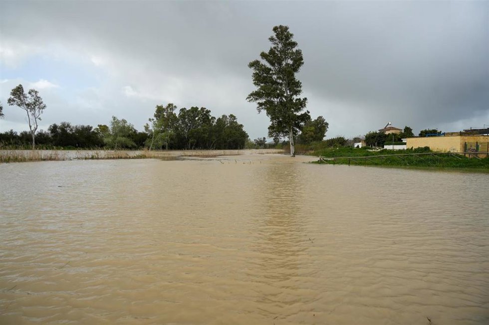 Imágenes de la crecida del río Guadalete. A 13 de febrero de 2025 en Jerez de la Frontera, Cádiz (Andalucía, España).