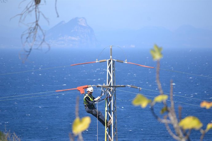 Endesa adecúa cerca de 5.600 apoyos de la red eléctrica para proteger la avifauna
