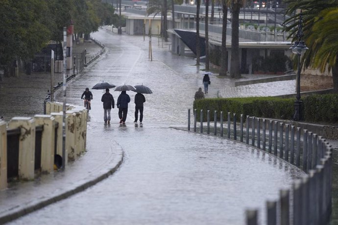 Varias se protegen de la lluvia con un paraguas. A 03 de marzo de 2025, en Sevilla (Andalucía, España). 