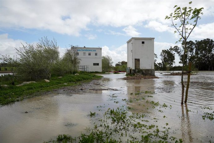 Imágenes de la crecida del río Guadalete a su paso por Jerez.