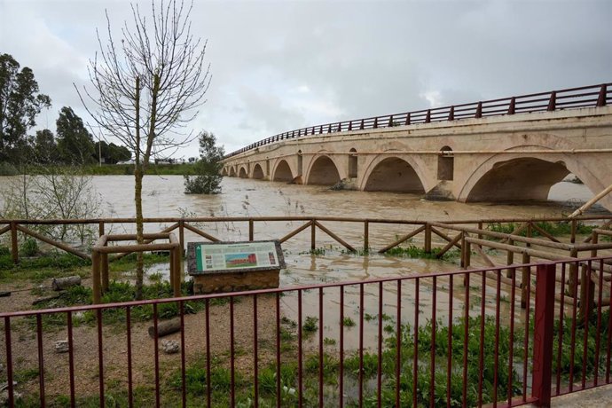 Imágenes de la crecida del río Guadalete. A 13 de febrero de 2025 en Jerez de la Frontera, Cádiz (Andalucía, España)
