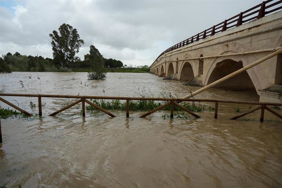 Imágenes de la crecida del río Guadalete. A 13 de febrero de 2025 en Jerez de la Frontera, Cádiz (Andalucía, España).