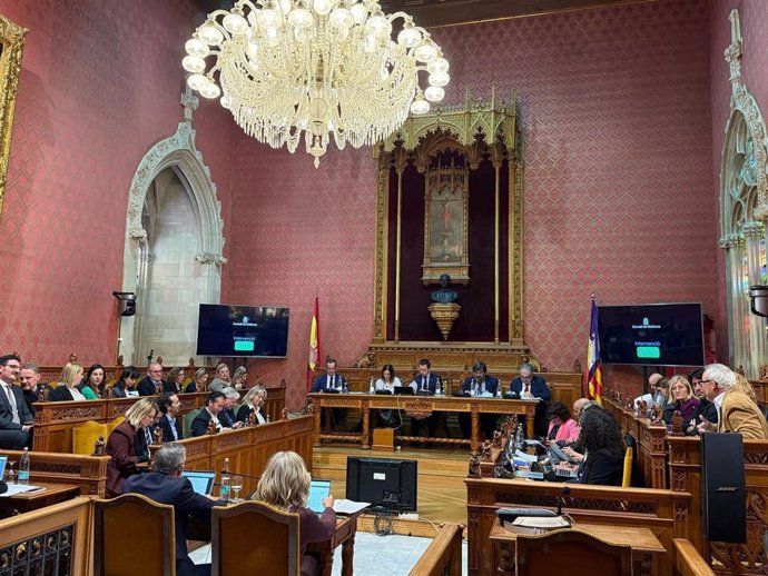 Pleno del Consell de Mallorca.