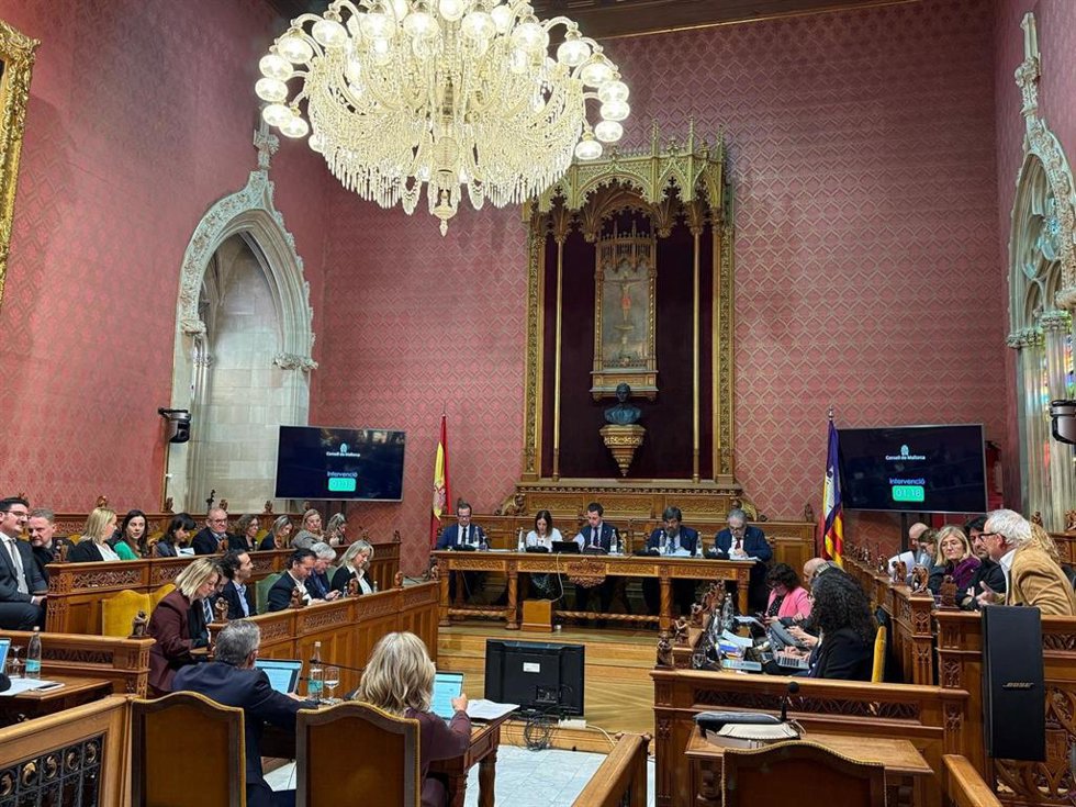 Pleno del Consell de Mallorca.