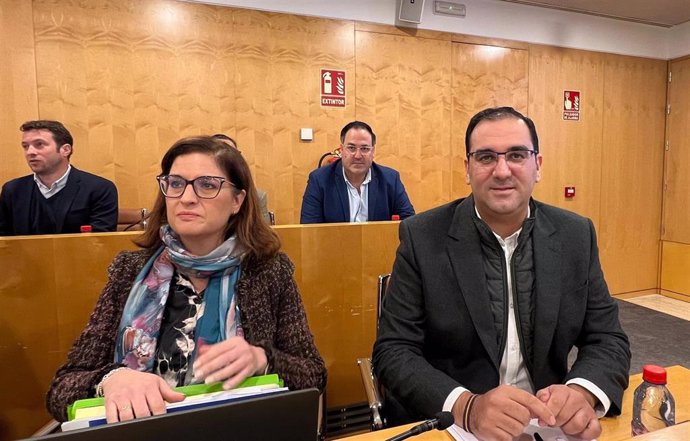 El portavoz del PP en la Diputación de Sevilla, Martín Torres.