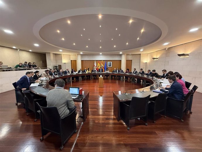 Pleno ordinario de la DPH.