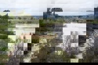 La borrasca Konrad deja una herida al caerle la puerta de garaje por el viento en Utrera y varias carreteras afectadas