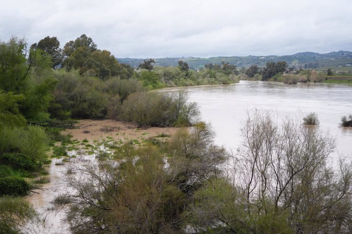 Lora del Río 