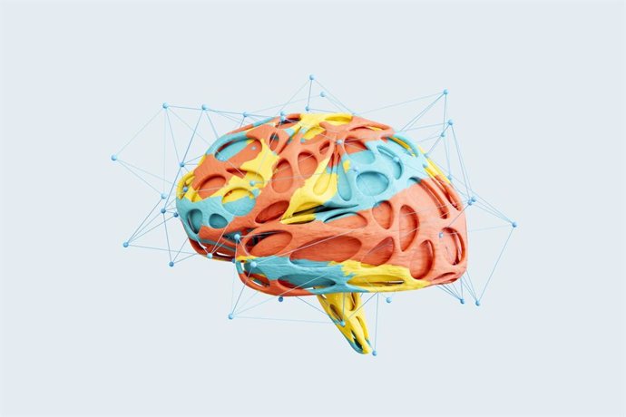 Archivo - Cerebro.