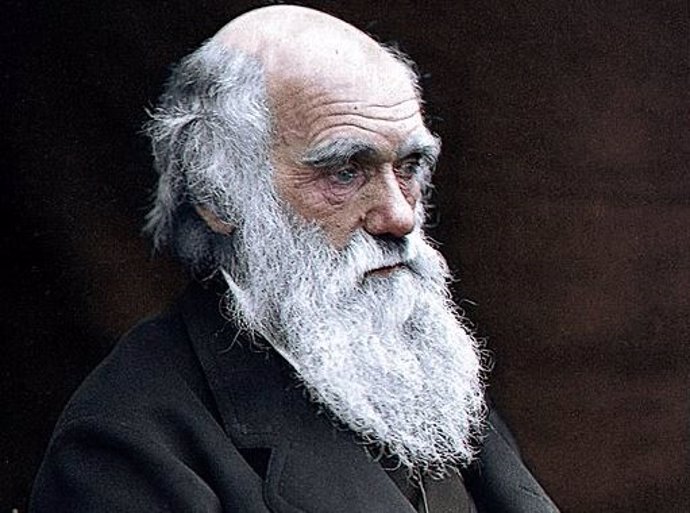 Archivo - Charles Darwin.